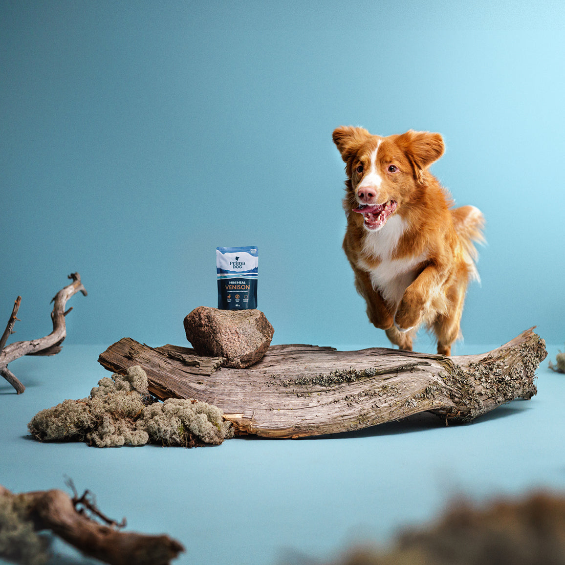 PrimaDog Mini Meal viljaton Peuraa kastikkeessa märkäruoka koiralle pakkauskuva