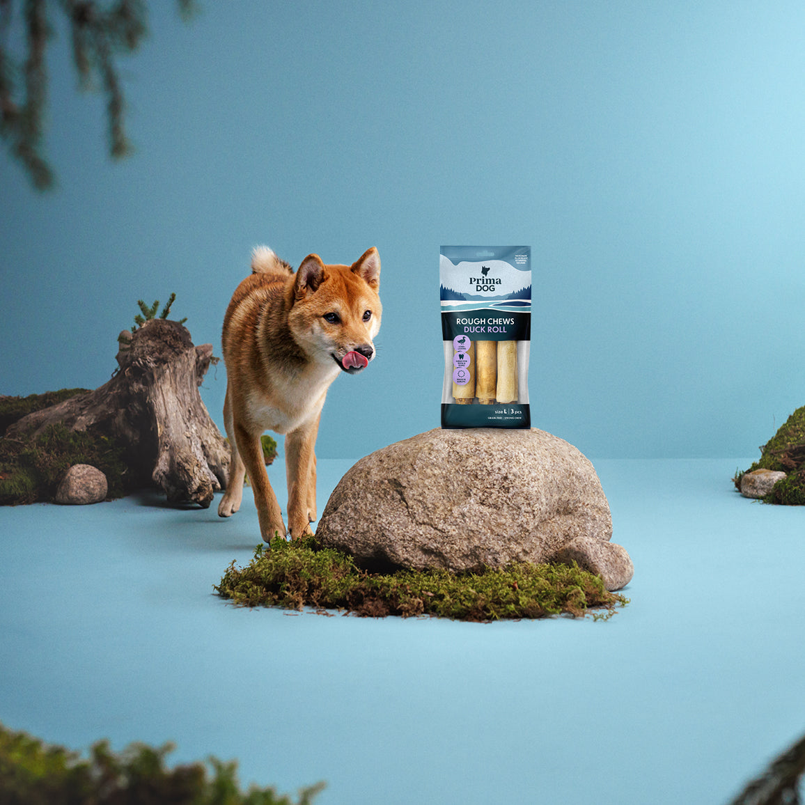 Fiiliskuva, jossa PrimaDog Rough Chews Ankkarullan pakkaus on kiven päällä ja vaalea koira seisoo kiven takana ja katsoo puruluita.