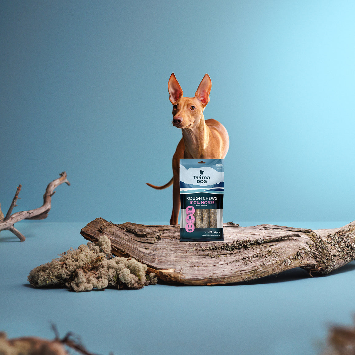 Fiiliskuva, jossa PrimaDog Rough Chews Hevonen rouhepuruluupakkaus on kiven päällä ja vaalea koira seisoo kiven takana.