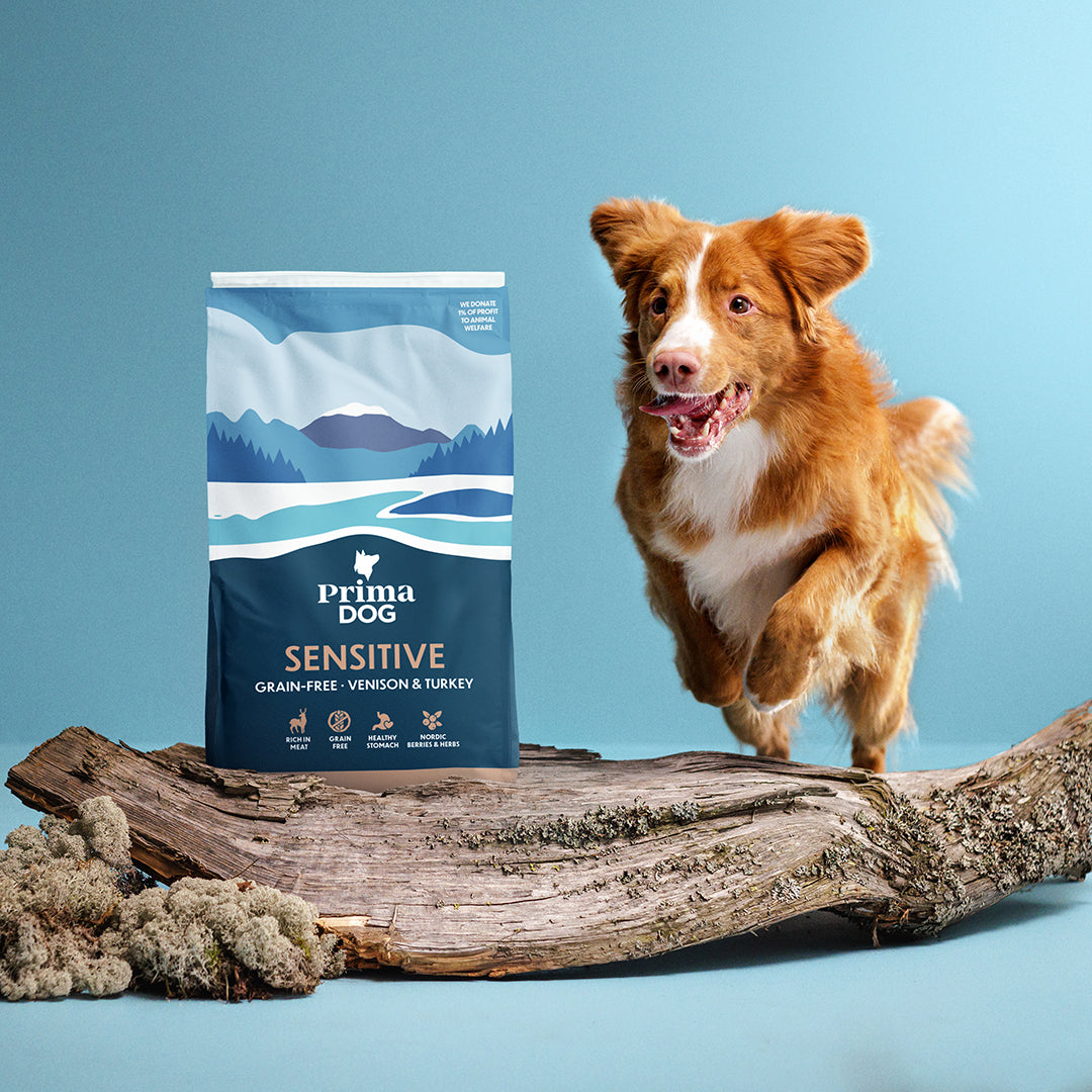 Kuvituskuva, jossa Novascotiannoutaja hyppää puunrungon yli. Puunrungon päällä on PrimaDog Peura-kalkkuna -kuivaruokasäkki.