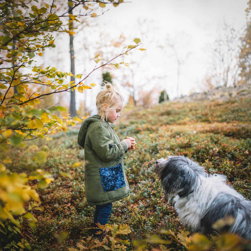 Kuvassa koira ja tyttö metsäisessä luonnossa