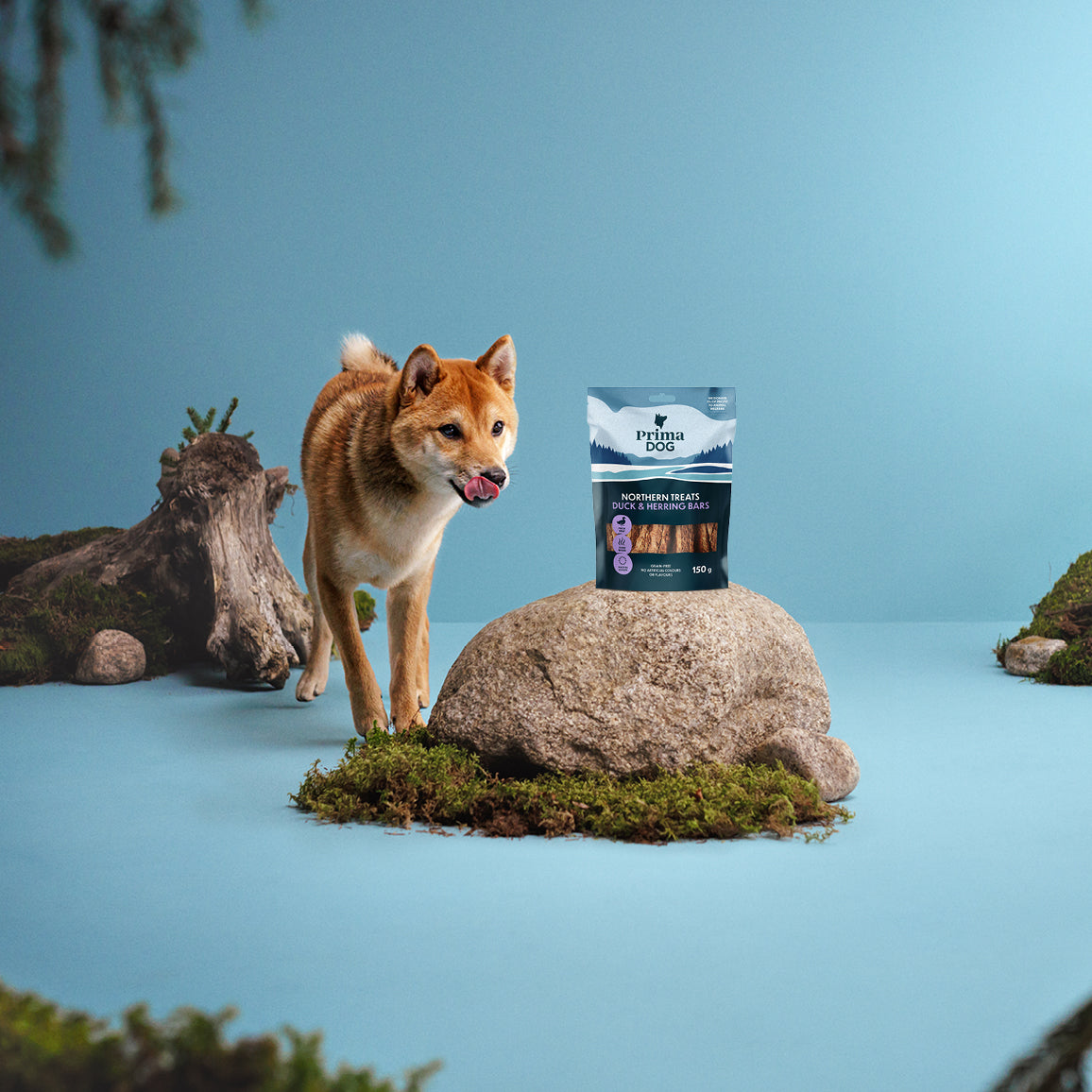 Fiiliskuva, jossa on PrimaDog Northern Treats Ankka ja silli-namipussi kiven päällä ja vaalea koira seisoo kiven takana ja nuolee huuliaan.