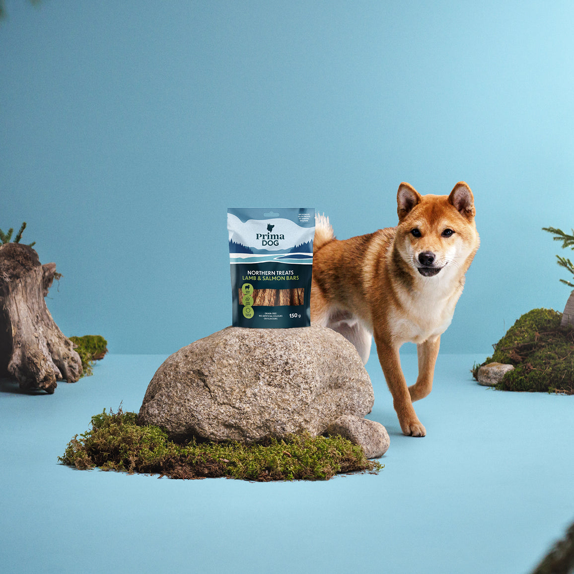 Fiiliskuva, jossa on PrimaDog Northern Treats Lammas ja lohi -namipussi kiven päällä ja vaalea koira seisoo kiven takana.