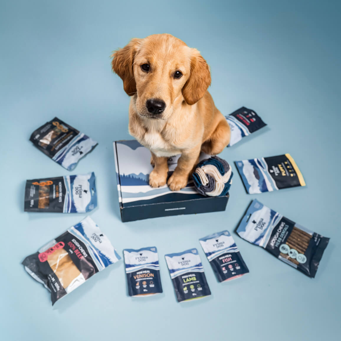 PrimaDog tutustumispakkaus koiranpennulle tuotekuva