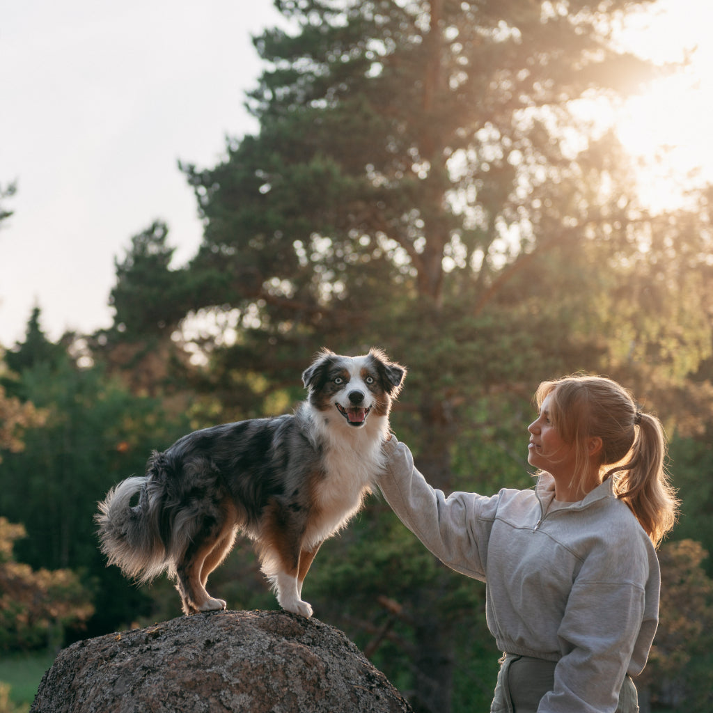 Kuvassa koira seisoo ison kiven päällä ja nainen rapsuttaa koiraa