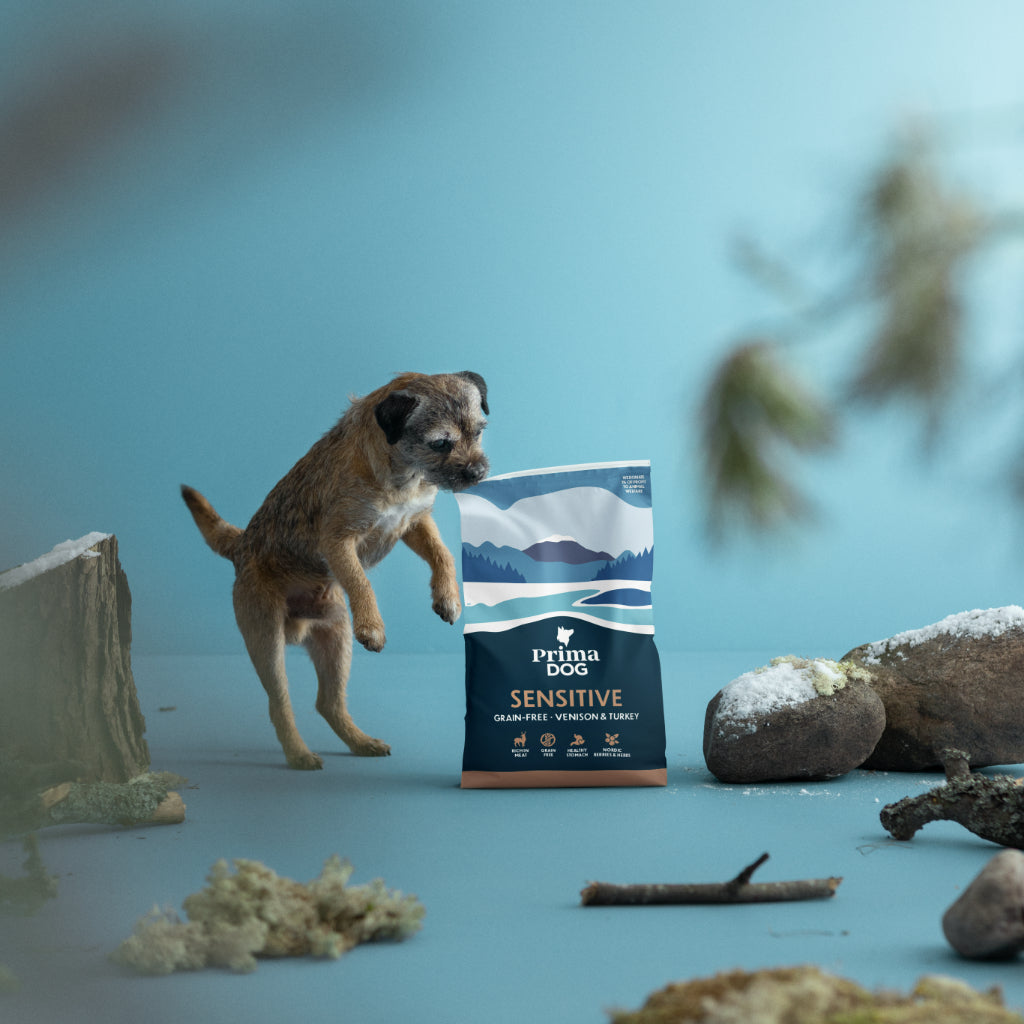 Kuvassa pieni koira hyppää ilmaan PrimaDogin Sensitive kuivaruokapakkaus taustalla
