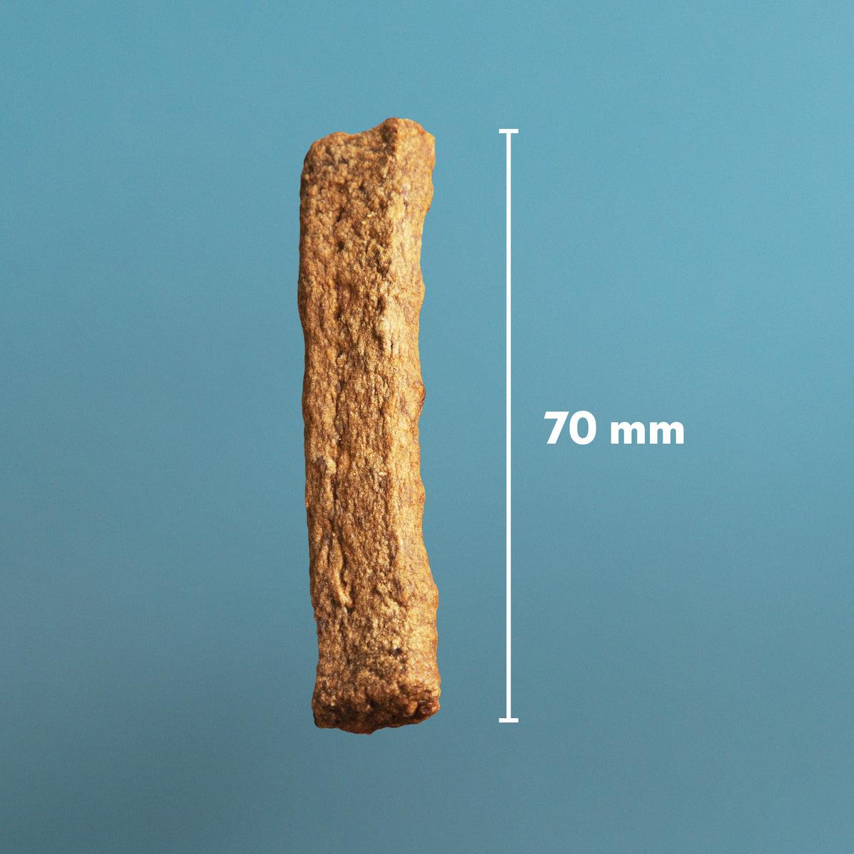 Northern Treats Lammas ja lohi -koiran herkku