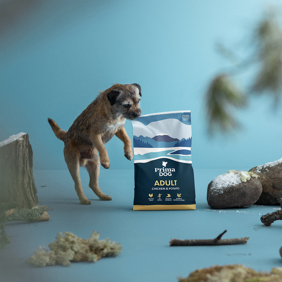 PrimaDog Kana ja peruna koiran kuivaruoka pakkauskuva