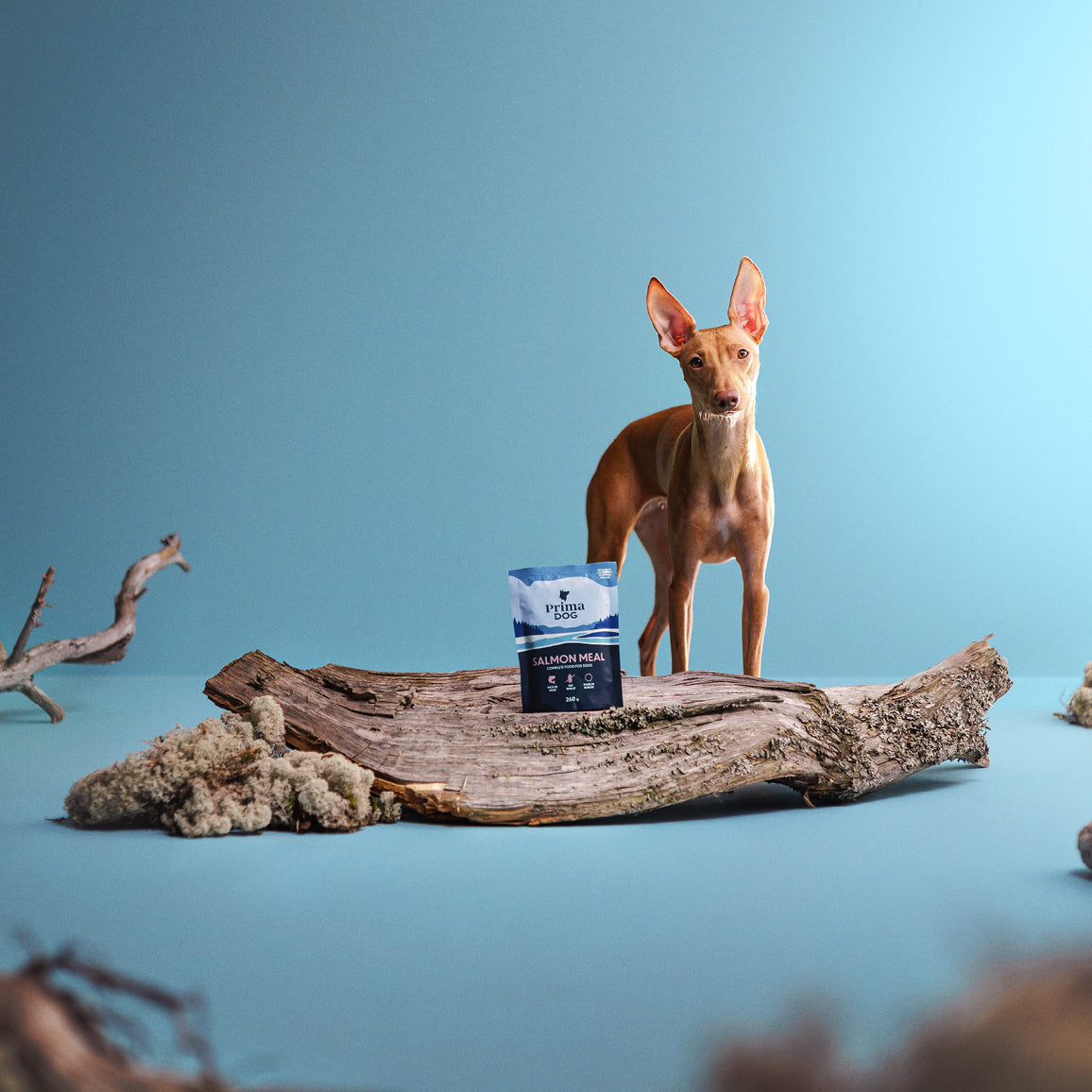 PrimaDog Lohi-annosateria koiranruoka pakkauskuva