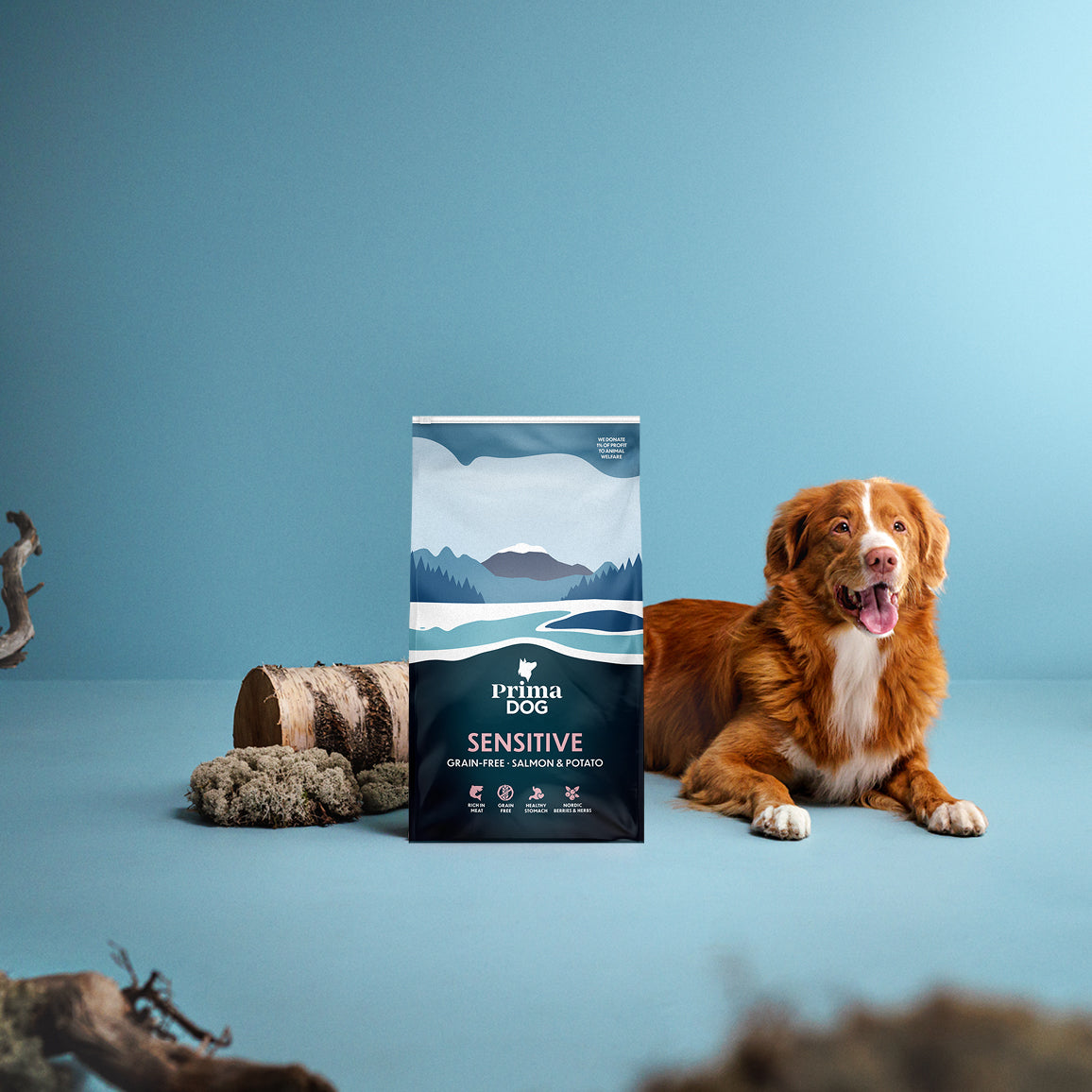 PrimaDog viljaton lohi-peruna koiran kuivaruoka kuvituskuva