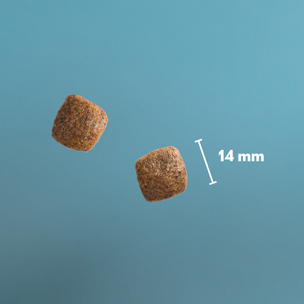 PrimaDog viljaton lohi-peruna koiran kuivaruuan nappulakoko on 14 mm