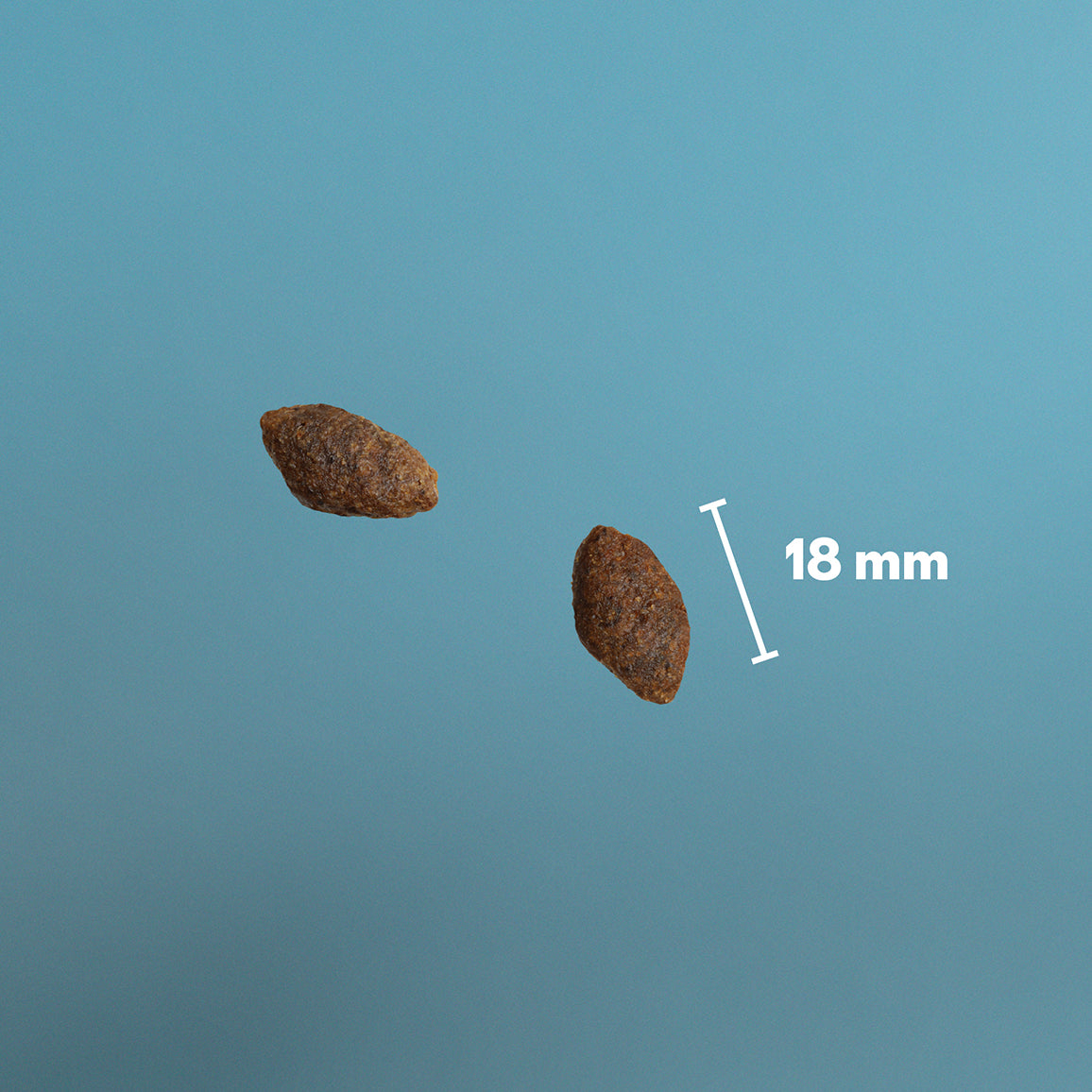 PrimaDog viljaton Peura ja kalkkuna koiran kuivaruuan nappulakoko on 18 mm