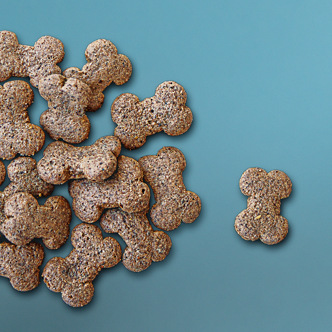 PrimaDog Wild Bites lammas ja tyrni -koiranherkku